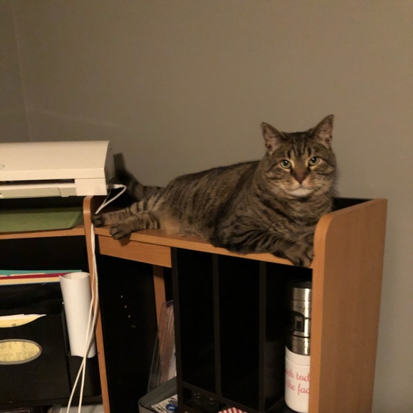 Stefani G. - Picture 3 of 6